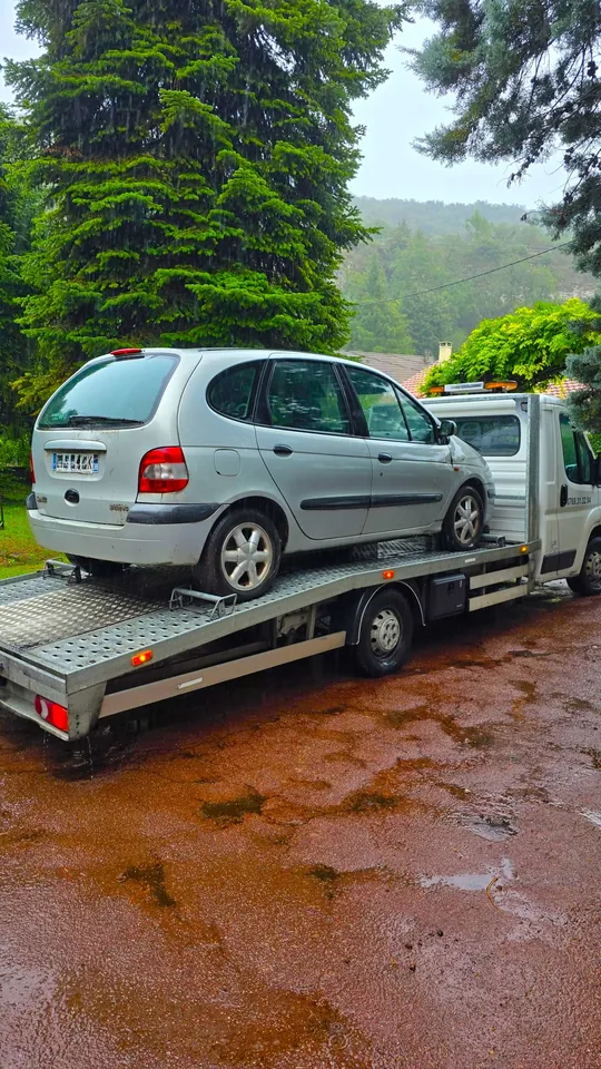 Petite voiture claire sur un camion plateau dans un passage bordé de végétation.
